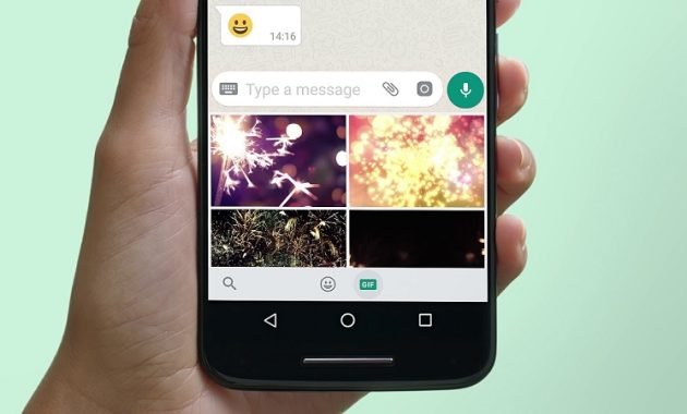 Send GIFs on WhatsApp Android